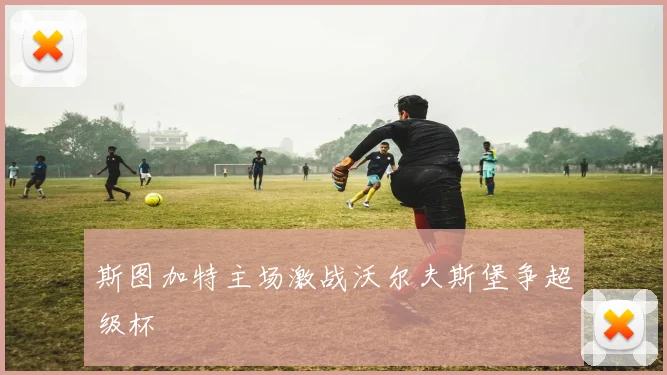 斯图加特主场激战沃尔夫斯堡争超级杯