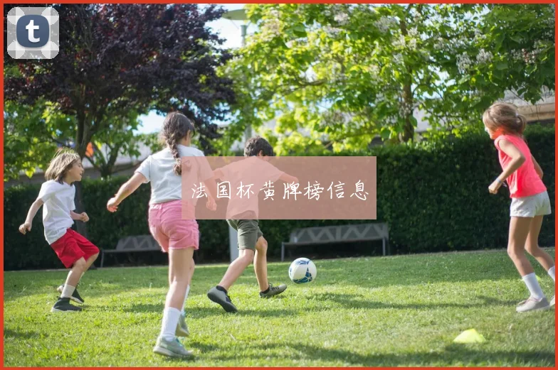 法国杯黄牌榜信息