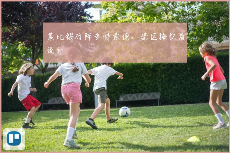 莱比锡对阵多特蒙德，禁区掩护看设计