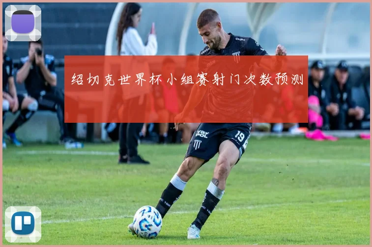 绍切克世界杯小组赛射门次数预测