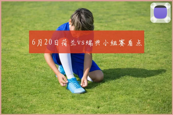 6月20日荷兰vs瑞典小组赛看点