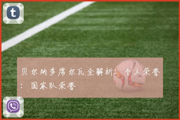贝尔纳多席尔瓦全解析：个人荣誉：国家队荣誉