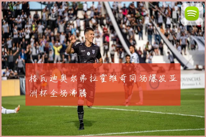 格瓦迪奥尔弗拉霍维奇同场爆发亚洲杯全场沸腾